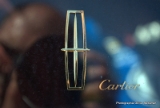 Lincoln Continental Mk4 Cartier 1979.DNG-2